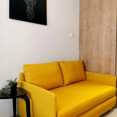 Matador & Free Parking *